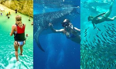 Oslob WhaleSharks, Sardines & Canyoneering From Dumaguete/Dauin