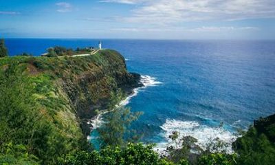 Kauai Island Private Guided Movie Tour from Lihue