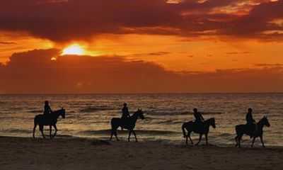 Afternoon Horseback Ride by the Beach in Aguadilla, Puerto Rico