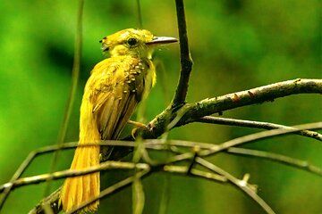 Churute Reserve Birdwatching Shared Wildlife Watching Activity