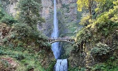 Private Tour of Multnomah Falls and Columbia Gorge
