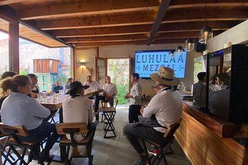 QRO Luhulaa Tasting of handcrafted and ancestral Mezcales