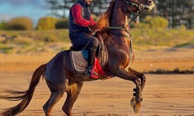Horseback riding in Haouzia