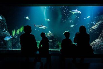 Gothenburg Universeum Ticket - Aquarium, Science, Wildlife, Zoo