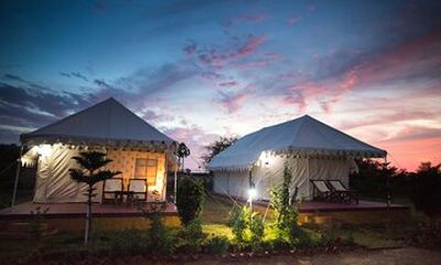 Camel Safari With Night Stay in Camp