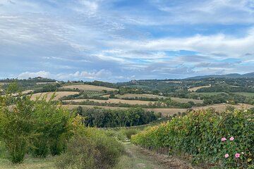 Experiences in Umbria, Toscana and Marche