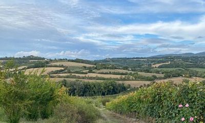 Experiences in Umbria, Toscana and Marche