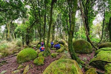 The Boulders Scenic Half Day Float on the Rangitikei River