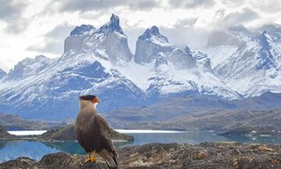 Torres del Paine Express 2 Day Exclusive Adventure