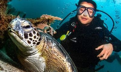 Scuba Diving in Rio de Janeiro