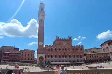 PRIVATE TOUR: Sweet Hills of Chianti & Siena + Lunch & 2 Tastings