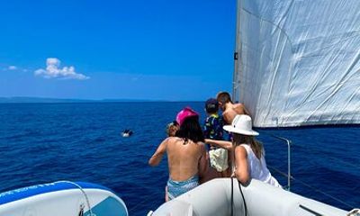 Private Day Cruise from Porto Carras on a 14 m Sailing Yacht
