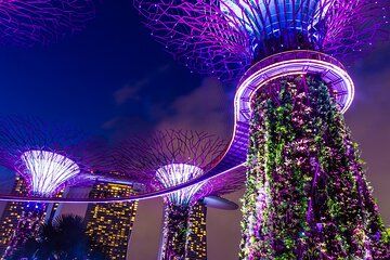 Singapore River Cruise with Garden Rhapsody and Spectra Show