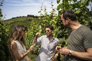 Private Alsace Wine Tour from Colmar area, Basel or Mulhouse