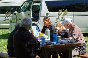 Visit Kaikōura from Christchurch (small group Tour)