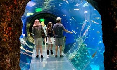 Gulf Coast Family Adventure Exclusive Private Tour