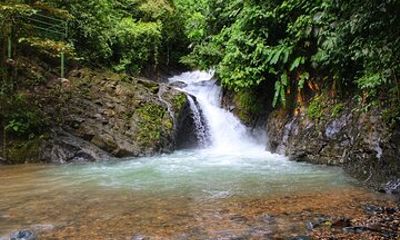 Eco Tour to Mulguri Waterfalls