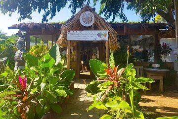 Roatan wildlife iguana park, Rum & chocolate factory and beach