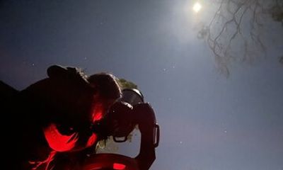 Stargazing Tour with Experienced Astronomer