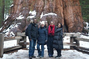 Private Tour to Sequoia and Kings Canyon Parks from San Francisco