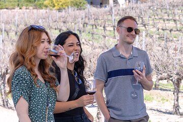 PRIVATE Four-Hour Wine Tasting Adventure of Temecula Valley