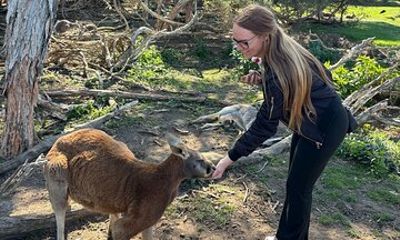 Phillip Island Surfing, Go Karting, Wildlife & Penguins…