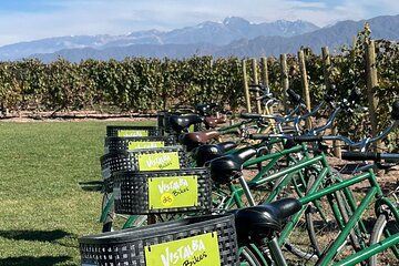 Bikes, Vines & Fine Wines: A Relaxed Day Out in Luján de Cuyo