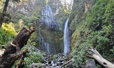 Private Tour to Los Diamantes Waterfall from CDMX