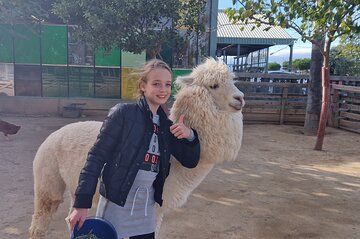 Animal farm park with free hotel pickup