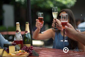 Queretaro Wine and Cheese Tour and Full Day Experience