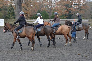 The Polo Experience & Lessons Surrey