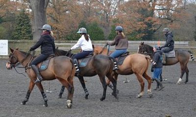 The Polo Experience & Lessons Surrey