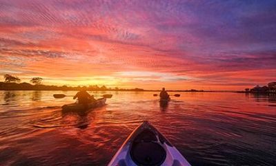 Sunrise Wildlife and Wetlands Kayaking Tour