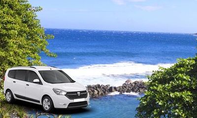 Private Tour of the Wild South with a Driver Guide