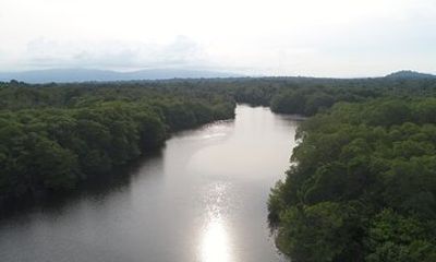 Organic Farm, Chocolate and Gandoca Lagoon Full Day Experience