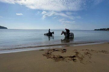 Skiathos Horseback Adventure