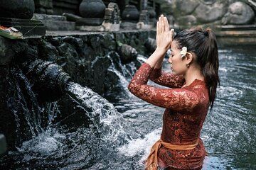 Ubud Monkey Forest Water Temple Waterfall and Rice Terrace