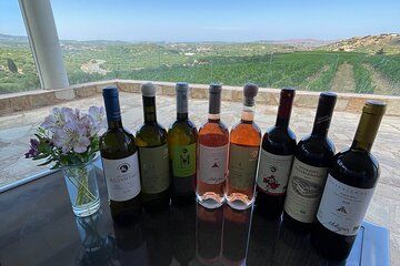 Wine Tasting and Olive Oil Factory