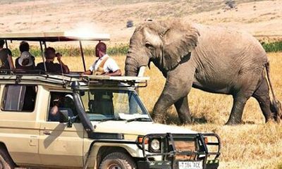 9 Day Kenya Midrange Safari by Land Cruiser