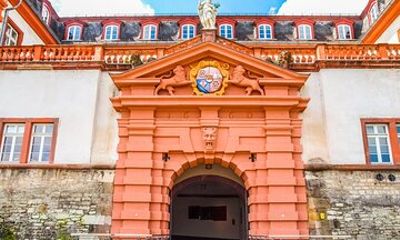 Best Intro to Mainz in 2 hours with a Local