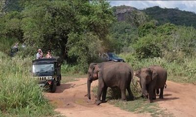 Hurulu Eco Park Safari Adventure