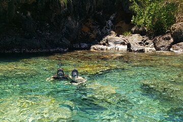 ST. Lucia Snorkeling and Sightseeing Adventure Coastal Beauty