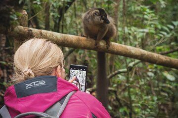 Day Trip to Andasibe National Park