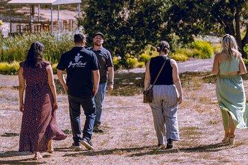 3 Winery Paso Robles Tour with Artisan Lunch from San Luis Obispo