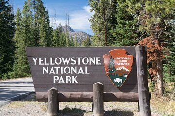Yellowstone Tour from Bozeman
