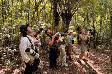 Birdwatching Tour | costumize your etinerary