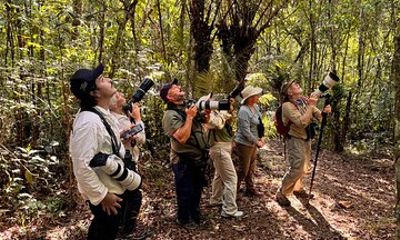 Birdwatching Tour | costumize your etinerary
