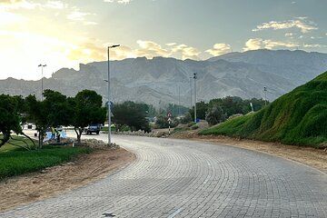 Explore Al Ain Culture and Nature