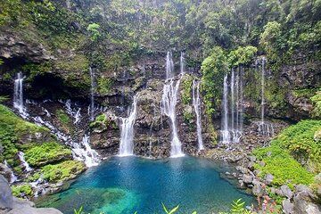 Discover the Wild South with Private Driver