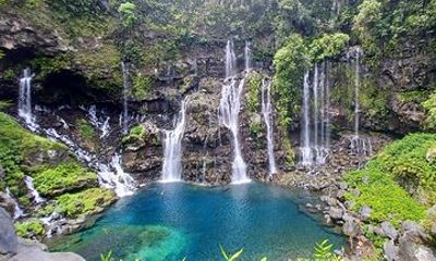 Discover the Wild South with Private Driver